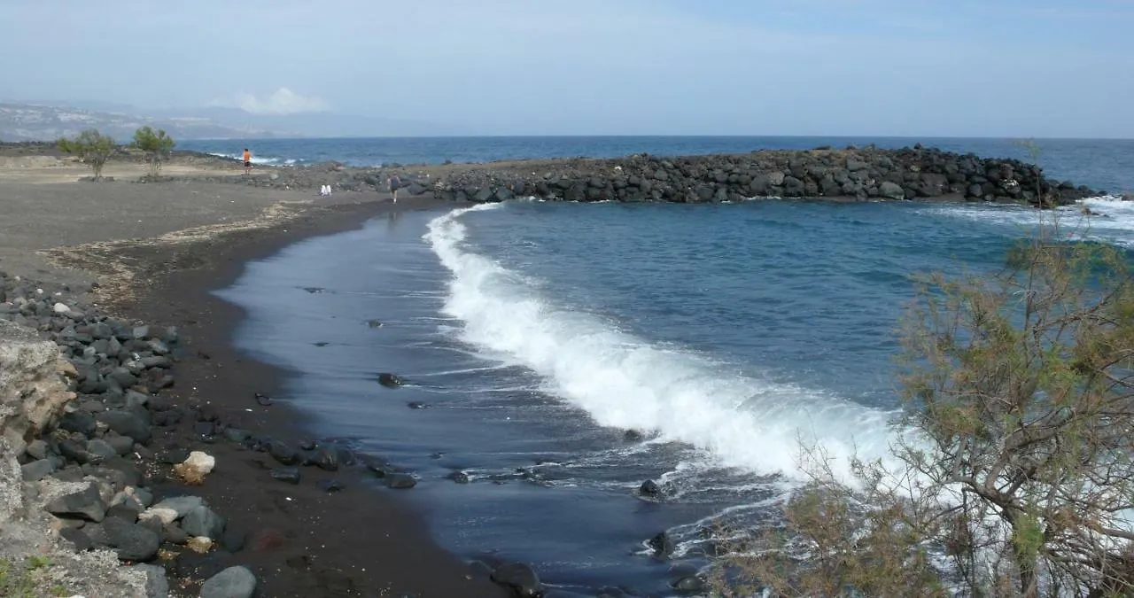 Naturaleza Viva El Socorro