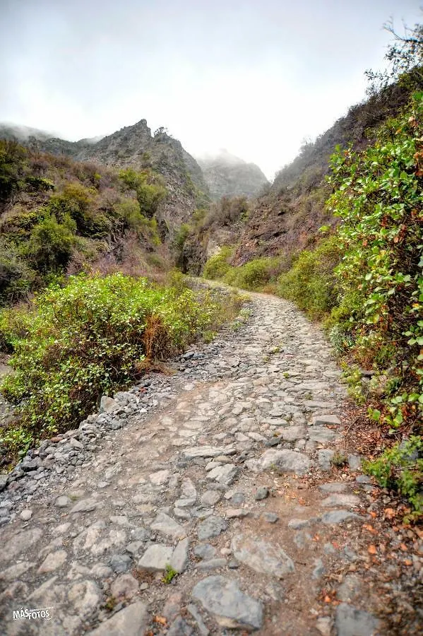Naturaleza Viva El Socorro