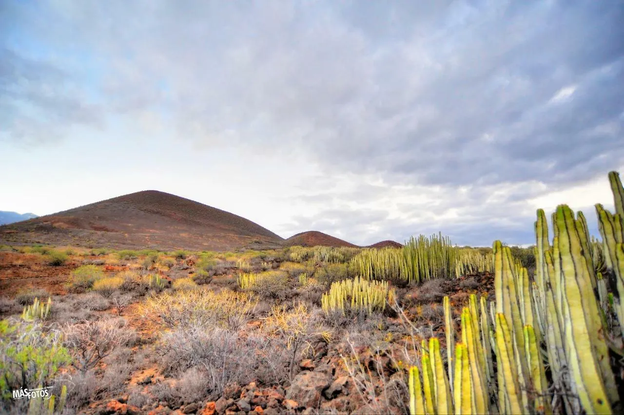 Naturaleza Viva El Socorro
