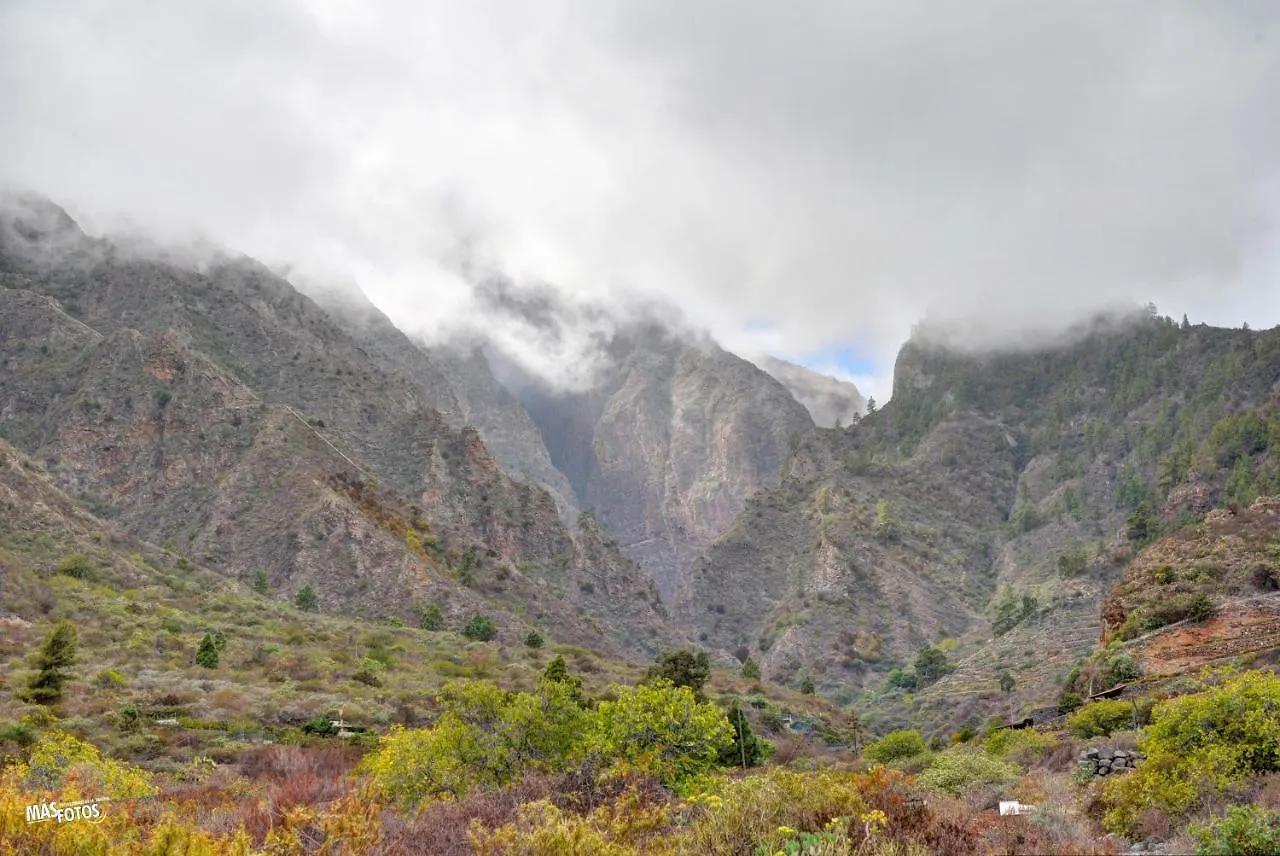 Naturaleza Viva El Socorro Espagne