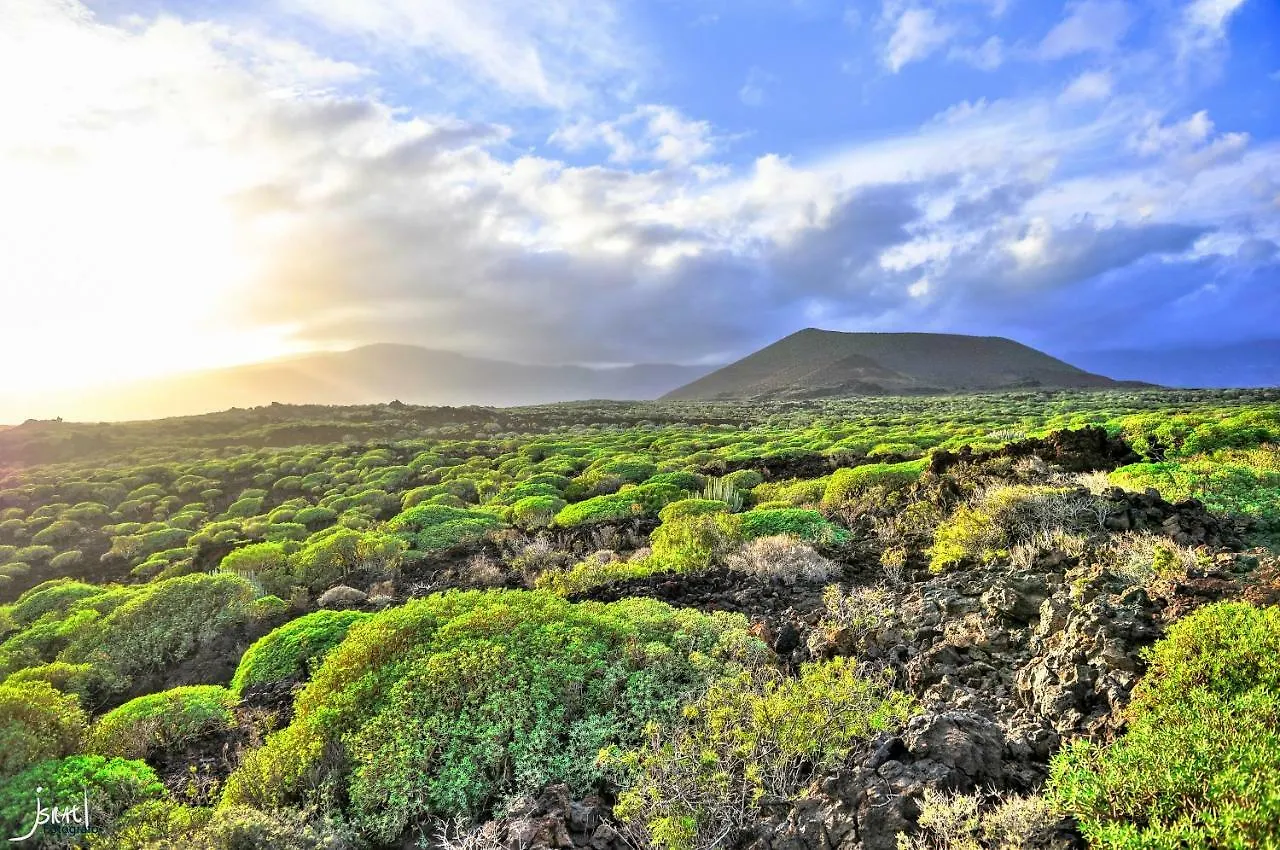 Naturaleza Viva El Socorro 0*,